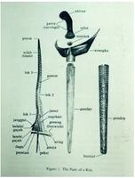 Keris: asal-usul keris, definisi, bahagian dan struktur &amp; jenis-jenis keris
